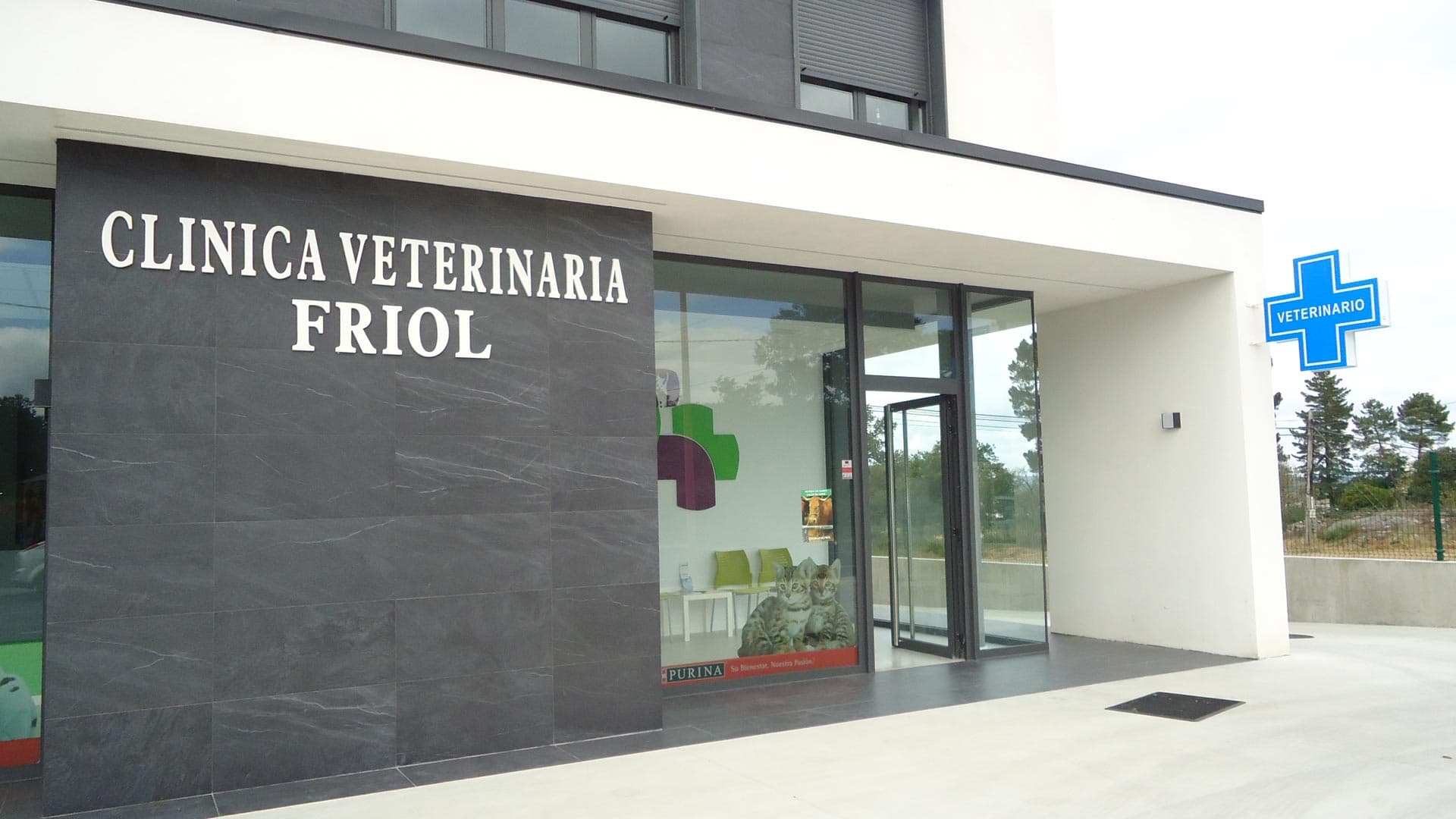 Equipo profesional de Clínica Veterinaria Friol